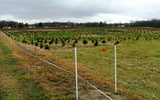 Gallagher 1 Acre Deer and Wildlife electric fence around Christmas trees