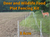 Gallagher Deer and wildlife food plot fencing kit with a deer in a field