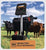 Gallagher B60 electric fence Charger with beef cattle next to it