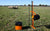 Gallagher fence charger with Smartfence electric fence Kit on sheep pasture