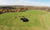 Shade Haven SH600 Portable Grazing Shade Structure in cattle pasture