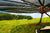 Under side view of a Shade Haven SH1200 Portable Shade Structure with dairy cows in the background
