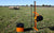 Gallagher Smartfence Kit for temporary Electric Fence